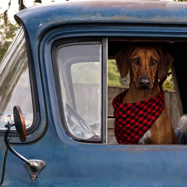 About Matt Buys Houses TX